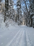 /Ski/2009/Images/1638/Photo 057Icon.jpg